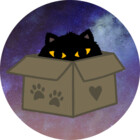 Scolliecat