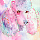 MorselWolf