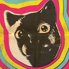 phantasmesvideo