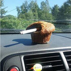 DashMuffins