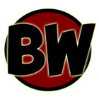 bloodywaluigi