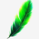 TheJadedFeather