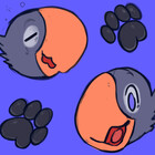 birdpaws