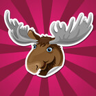 MooseDisco
