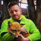 kinkitsune
