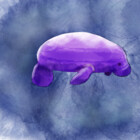 purpleManatee