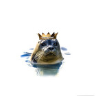 swankyseal
