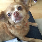 Colby0705
