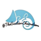 SChameleon