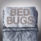 Redbubble profile picture for @BedBugs