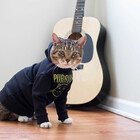Hoodcat