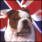 CaptainBritish