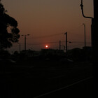 Austral
