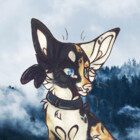 SilverFoxMutt