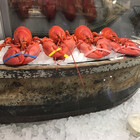 alphalobster
