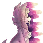 sqacekinq