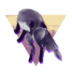LitzArt