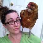 themamaowl