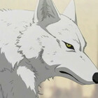 Metalwolf1000