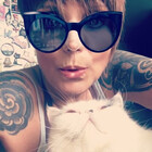 gatosilimitados