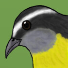 gberthia
