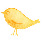 yellow-bird