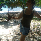 bohorose