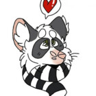 naruraccoon