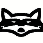 Artraccoon