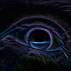 Redbubble profile picture for @evolution