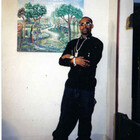 artmuller2005