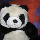 Pandaman