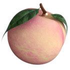 zuniapunia