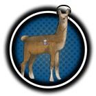 DigitalLlama