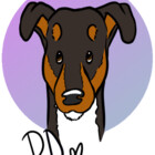 PoonDoodle