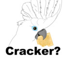 buttonscockatoo
