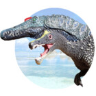 IrritatorRaji