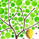 savebeesntrees