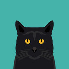 Catclub