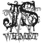JSWilmet