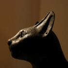 GreatCatArt
