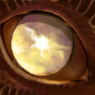 laurelhach