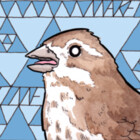 theavianagenda
