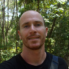 davereynolds