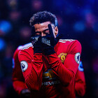 lingardfan14