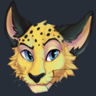 Cheetch