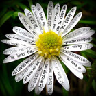 roxannephotos