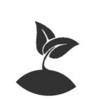 StartFromSeed