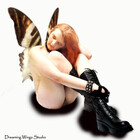 DreamingWings