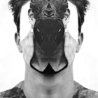 OdeCollage
